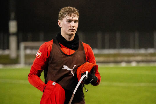 Helsingbirgs Benjamin Örn