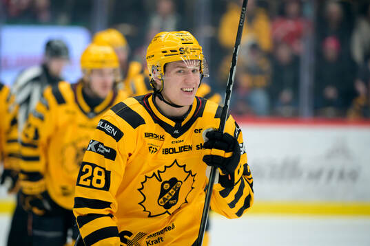 Skellefteås Michael Brandsegg-Nygård jbular