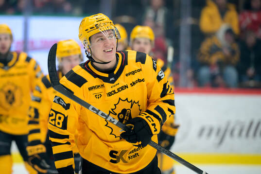 Skellefteås Michael Brandsegg-Nygård jbular