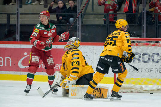 Skellefteås målvakt Gustaf Lindvall deppar