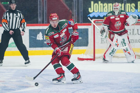 Modos Lukas Jasek