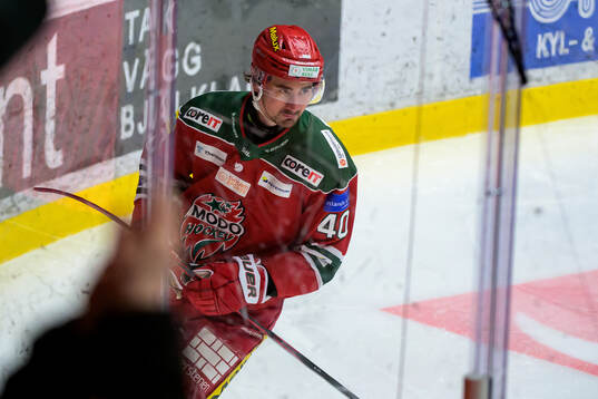 Modos David Bernhardt jublar