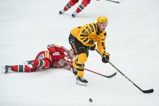 Skellefteås Arvid Lundberg