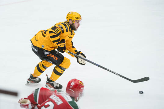 Skellefteås Martins Dzierkals