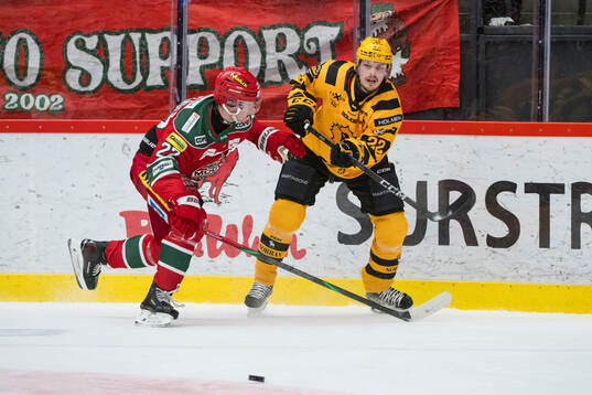 Skellefteås Jonathan Johnson och Modos Mattias Norlinder