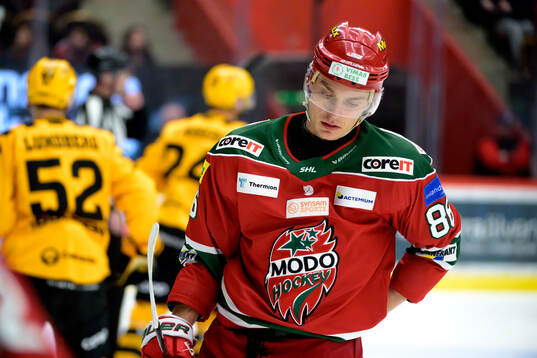 Modos Lukas Jasek
