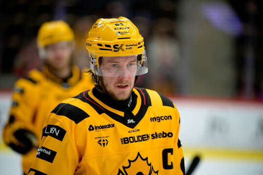 Skellefteås Jonathan Pudas