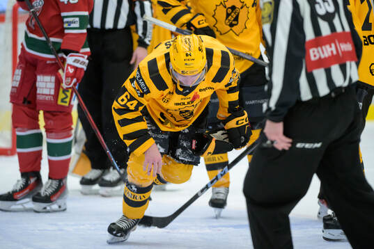 Skellefteås Jonathan Pudas har ont