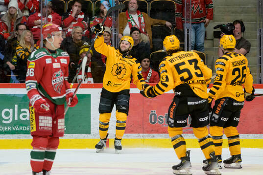 Skellefteås Martins Dzierkals jublar
