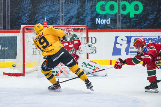 Modos målvakt Olle Eriksson Ek och Skellefteås Martins