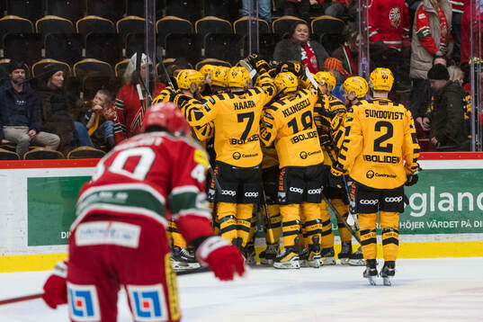 Skellefteås spelare jublar