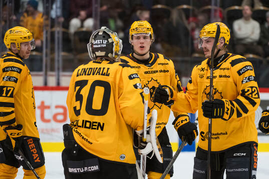 Skellefteås Michael Brandsegg-Nygård och målvakt Gustaf