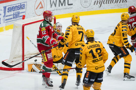 Skellefteås målvakt Gustaf Lindvall