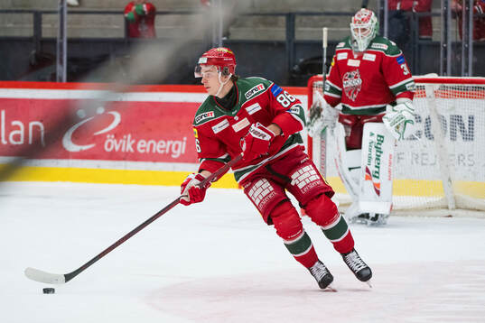 Modos Lukas Jasek