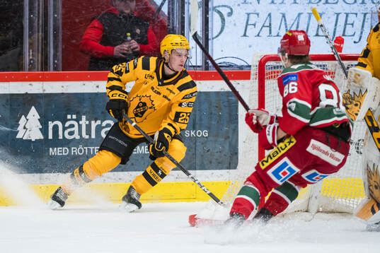 Skellefteås Pontus Johansson