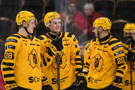 Skellefteås Michael Brandsegg-Nygård och Pontus Johansson