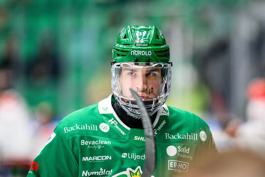 Rögles Albin Sundsvik