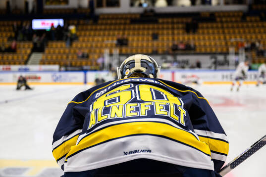 HV71s målvakt Hugo Alnefelt