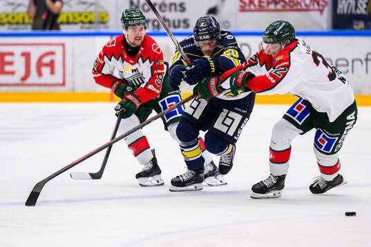 Frölundas Mikael Ruohomaa, Noah Hasa  och HV71s Andre