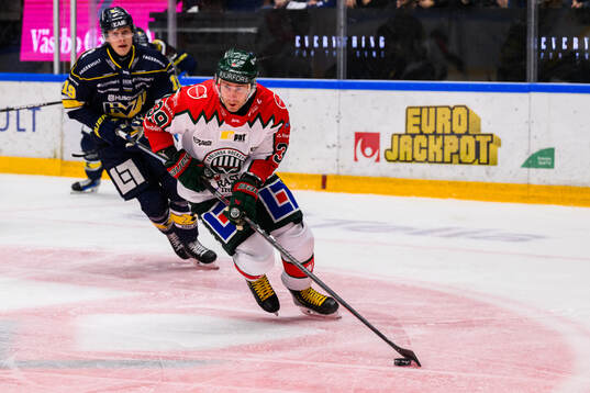 Frölundas Mikael Ruohomaa och HV71s Henrik Borgström