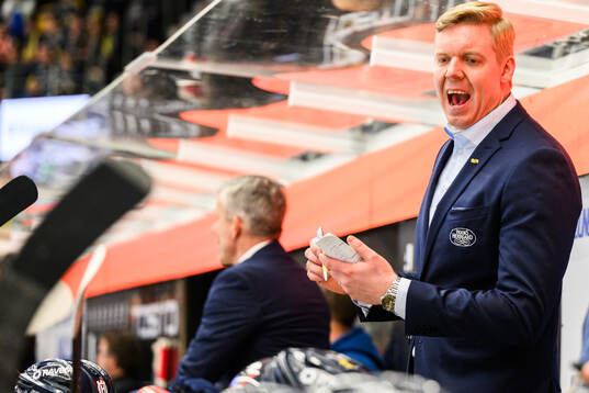 HV71s tränare Anton Blomqvist