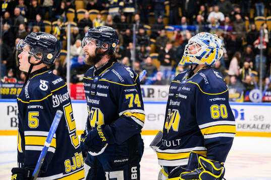 HV71s målvakt Hugo Alnefelt deppar
