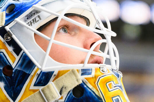 HV71s målvakt Hugo Alnefelt