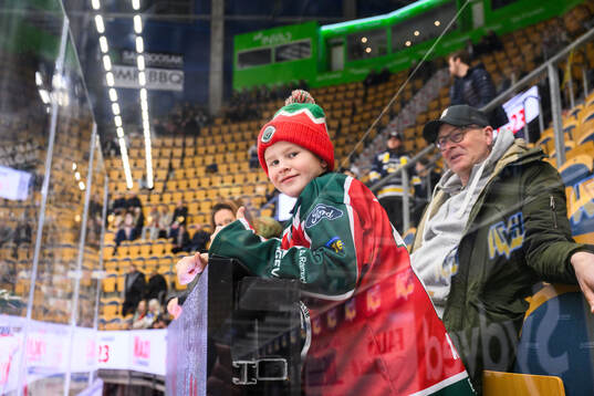 Frölundas supporter