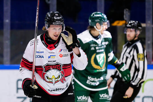 Malmö Redhawks Robin Salo deppar