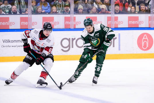 Malmö Redhawks Fredrik Händemark och Färjestads David