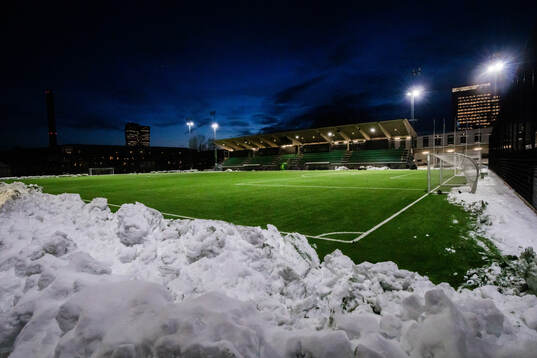 Hammarby IP