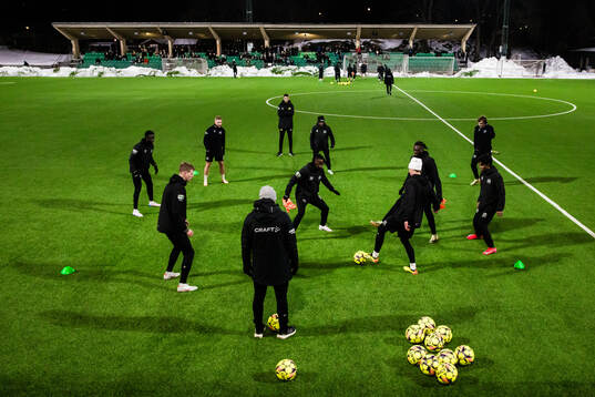 Hammarby IP