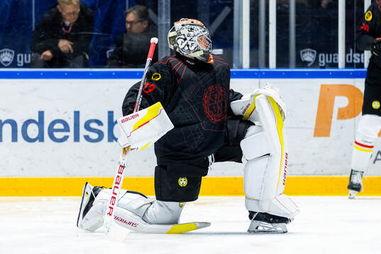 Brynäs målvakt Ludvig Persson