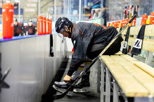 Brynäs Tyler Vesel