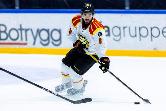 Brynäs Bobby Trivigno