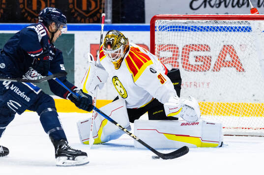 Linköpings Lance Bouma och Brynäs målvakt Erik Källgren