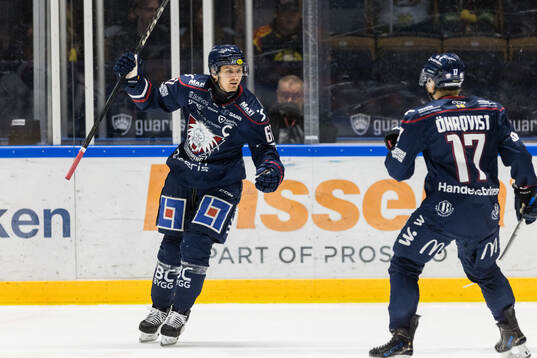 Linköpings Markus Ljungh jublar