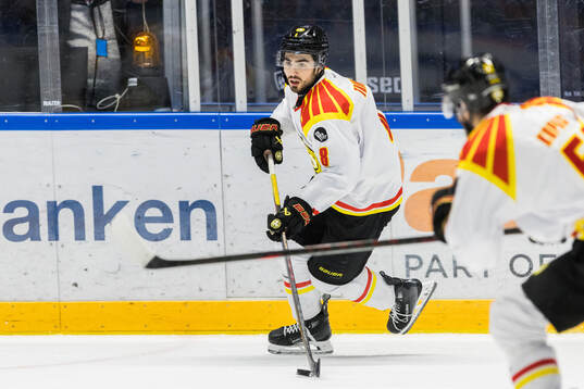 Brynäs Bobby Trivigno