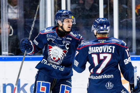 Linköpings Markus Ljungh jublar