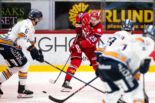 Timrås Filip Hållander