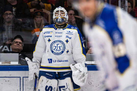 Leksands målvakt Mantas Armalis