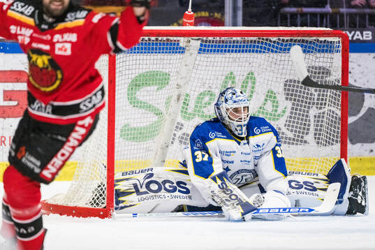 Leksands målvakt Jakob Hellsten deppar