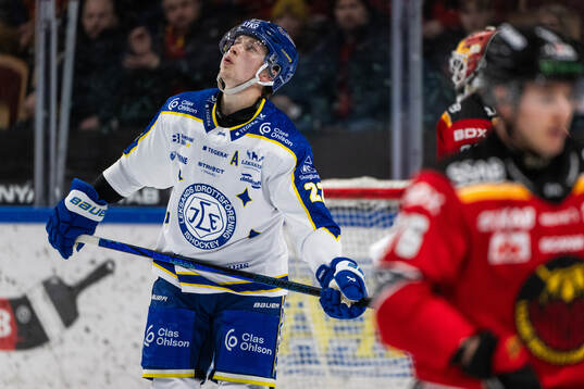 Leksands Lukas Vejdemo deppar