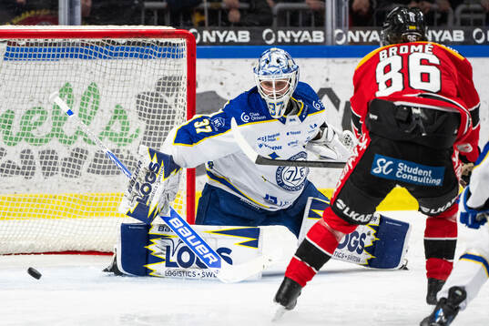 Leksands målvakt Jakob Hellsten