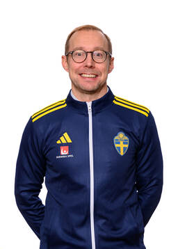 Anders Wasserman, analytiker
