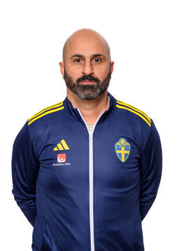 Ali Amini, specialist spelet