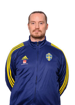 Christoffer Bernspång, analytiker