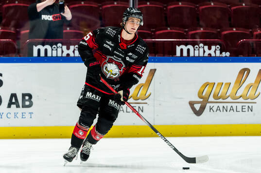 Malmö Redhawks Freddie Larsson