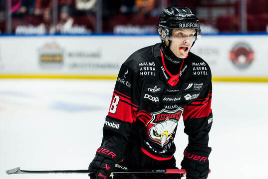 Malmö Redhawks Johan Olofsson deppar