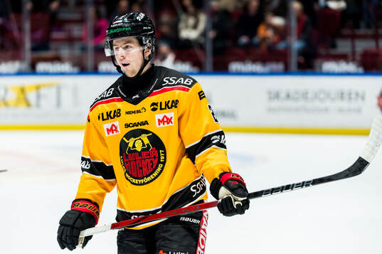 Luleås Jesper Sellgren deppar